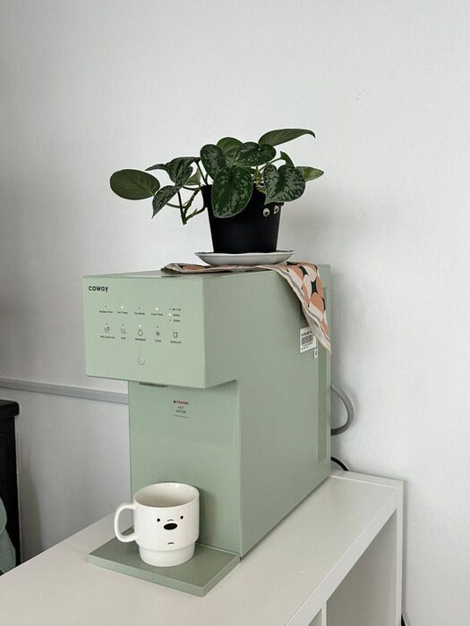 Compact Coway water purifier in a kitchen
